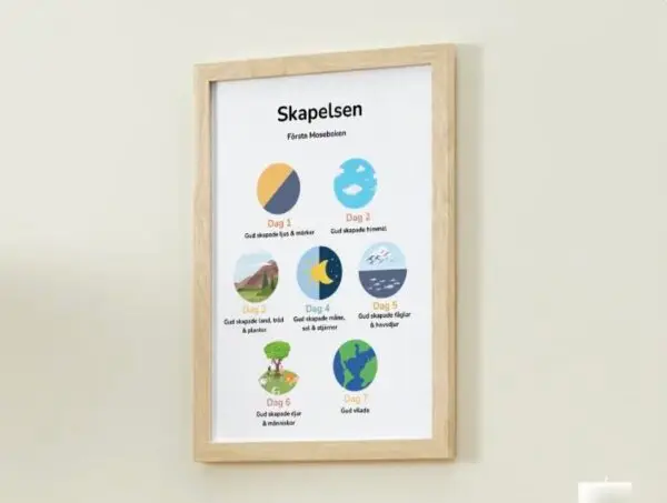 Skapelsen - Bild 2